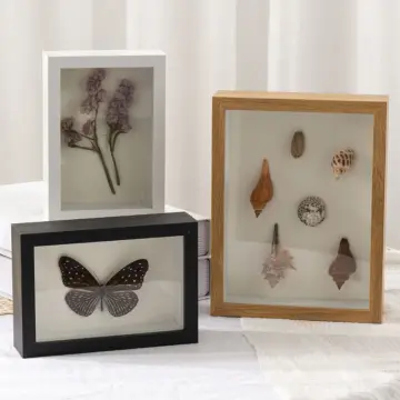 Dried Flower Display Frame, Butterflies Display Boxes