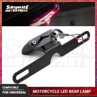 For DUCATI X Diavel Carbon Multistada 1200 1100 1000 Motorcycle LED Light For KAWASAKI Universal Rear Lamp Number License Plate