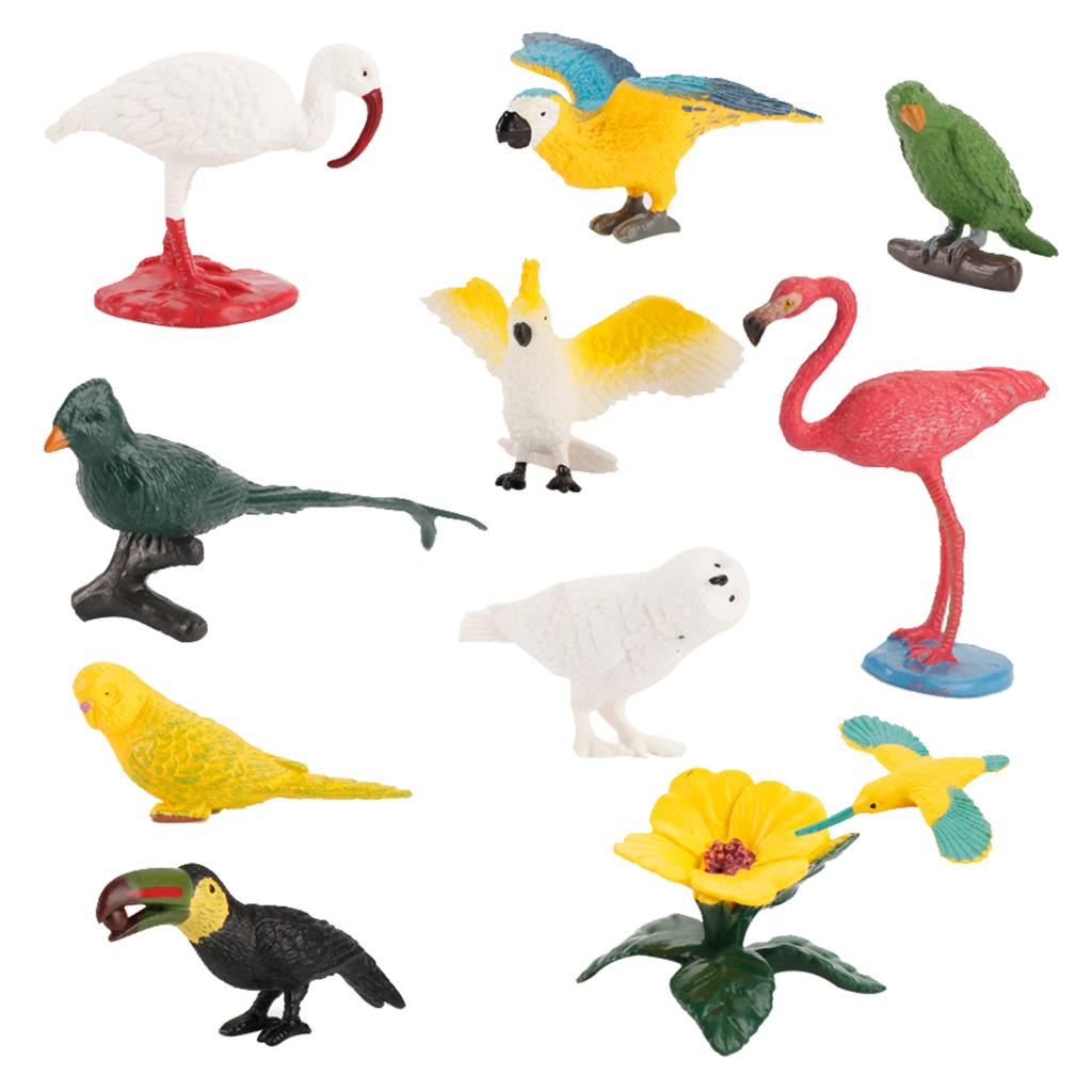 Details about   10 Piece Toy Mini Bird Model Set Flamingo Parakeet Simulation For Kid Gift 