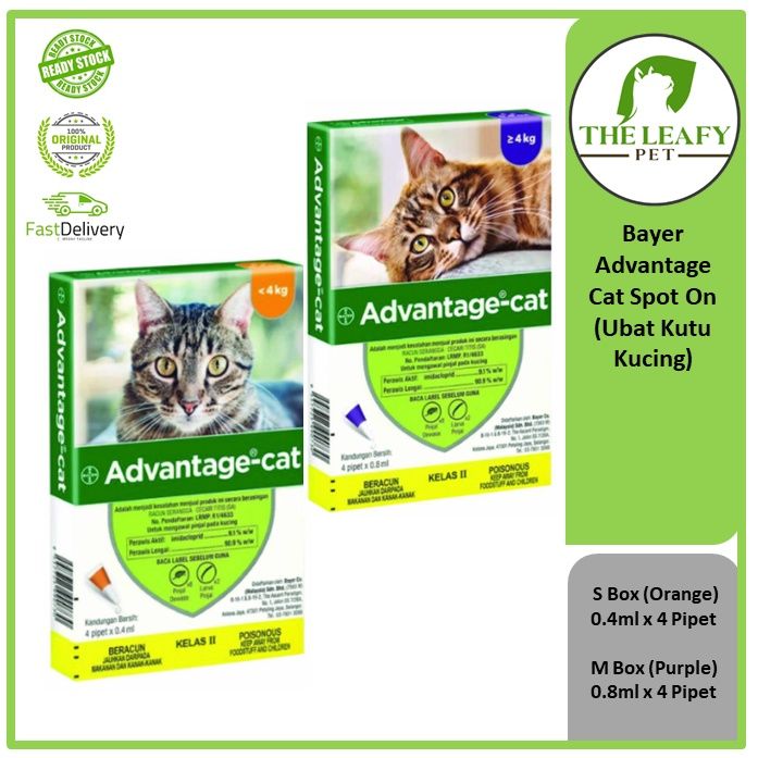 Bayer Advantage Cat Spot On  Ubat Kutu Kucing ( S Box  Orange ) 0.4