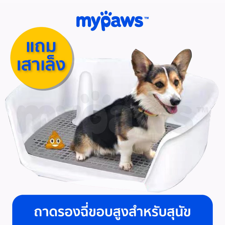my-paws-ห้องน้ำหมา-ขอบสี่เหลี่ยม-พร้อมเสาเล็ง-ถาดรองฉี่สุนัข-ห้องน้ำสุนัข