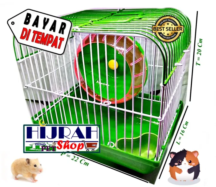 Kandang Hamster Kandang Mini Kandang Hamster Murah Kandang Tupai Kandang  Marmut Landak Mini Sugar Glider Murah Meriah Unik Lucu - Warna Hijau -  Hijrah Pet Shop | Lazada Indonesia