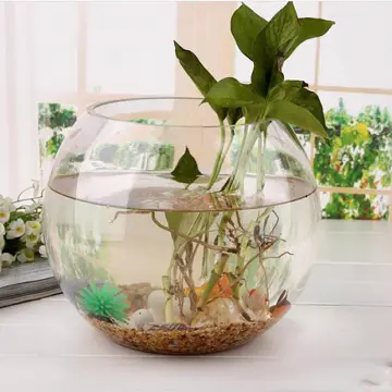 Hydroponic Vase Goldfish Bowl Storage Pot Glass Small Aquarium