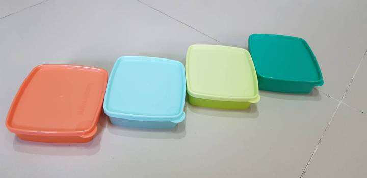 tupperware-กล่องเหมันต์มินิ-250-มล