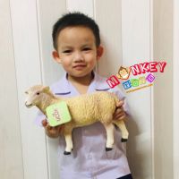 Monkey Toys - โมเดลสัตว์ Sheep แกะ ขนาด 27.00 CM แบบนิ่ม (จากหาดใหญ่)