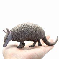 ﹍☞ Solid Armadillo Model Action Figure Simulation Animal World Wild Animal Action Figure Set PVC Childrens Cognitive Toys