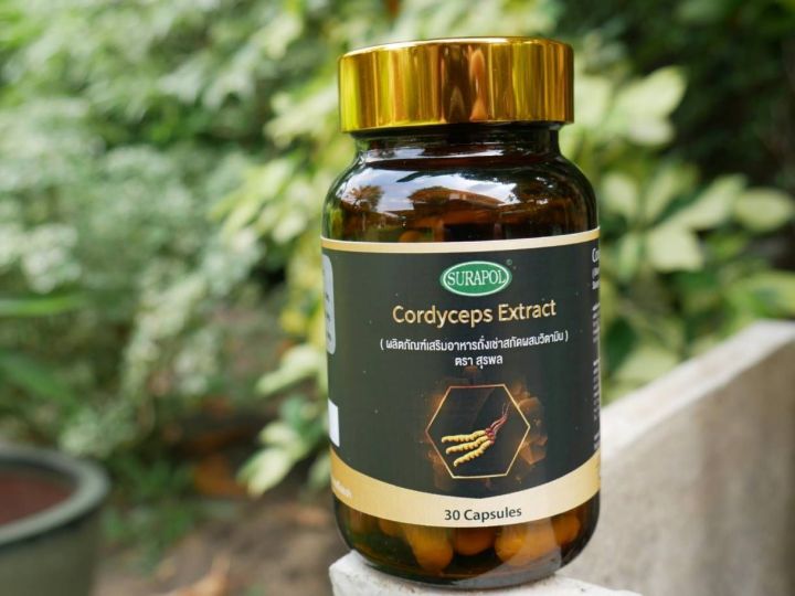 dr-surapol-cordyceps-1000-mg-ผลิตภัณฑ์เสริมอาหาร-ถั่งเช่าสกัด-1-000-มิลลิกรัม-ตรา-ดร-สุรพล-30-capsules-supurra