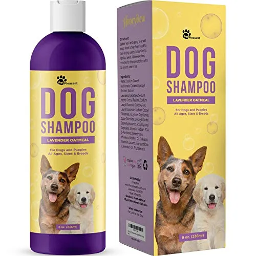 whats the best dog shampoo for smelly dogs