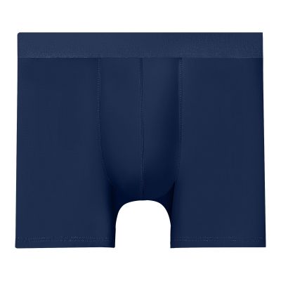 【CW】 Men Shorts Transparent Panties Man Silk Leg Underpants Cueca Masculina Size L-6XL