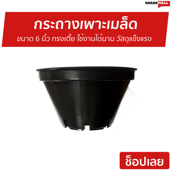 ขายดี-แพ็ค5อัน-กระถางเพาะเมล็ด-ขนาด-6-นิ้ว-ทรงเตี้ย-ใช้งานได้นาน-วัสดุแข็งแรง-กระถางพลาสติก-กระถางดอกไม้-กระถางต้นไม้พลาสติก-กระถาง-กระถางต้นไม้-กระถางแคคตัส-กระถางกระบองเพชร-กระถางปลูกต้นไม้-กระถางสว