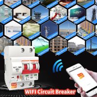 tuya Smart APP Control Smart WIFI Circuit Breaker 2P Switch Smart Life Support Amazon Alexa Home ♣️HOT