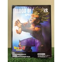 DRAGON BALL Z BLOOD OF SAIYANS-SPECIAL XI