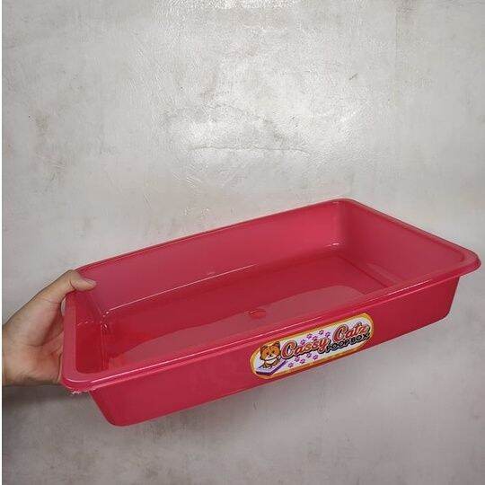 Cassy Cat Poop Box with Scoop Lazada PH