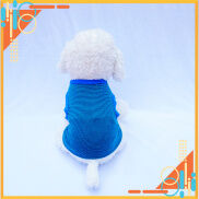 Áo cho Thú cưng, Áo 3 lỗ kẻ Xanh PD044
