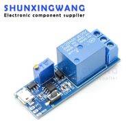 5V-30V Delay Relay Timer Module Trigger Delay Switch Micro USB Power Adjustable Relay Module