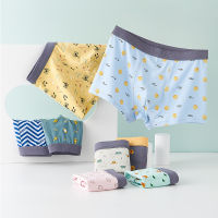 Teenage underwear boutique two boxed big childrens cotton boys boxer briefs four-corner student shorts