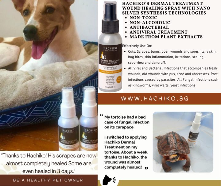 [Natural Ingredient]Hachiko Pet Dermal Treatment Soothing Spray for