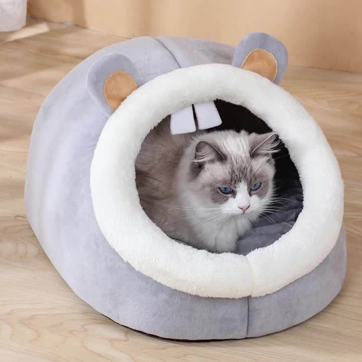 Lazada shop cat bed