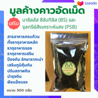 มูลค้างคาวอัดเม็ด  เสริม บาซิลลัส ซีชับทิลิส (BS) และ จุลทรีย์สังเคราะห์แสง (PSB) สารอาหารครบถ้วน ทั้งธาตุอาหารหลัก รอง เสริม