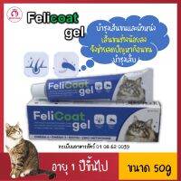 วิตามิน Felicoat Gel 50g บำรุงขนแมว ผิวหนัง เล็บ อาหารเสริม เฟลิโค้ท เจล สำหรับแมวอายุ 1 ปีขึ้นไปทุกสายพันธุ์