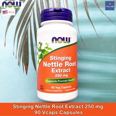 สารสกัดจากรากตำแย Stinging Nettle Root Extract 250 mg 90 Veg Capsules - Now Foods