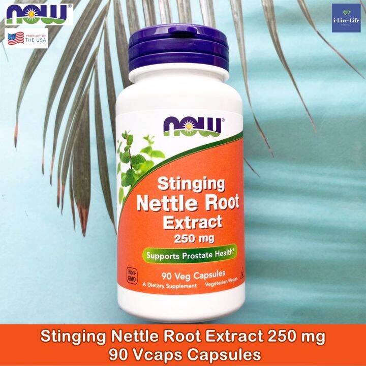 สารสกัดจากรากตำแย-stinging-nettle-root-extract-250-mg-90-veg-capsules-now-foods