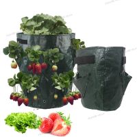 5 7 10 Gallon PE Strawberry Planter Grow Bags Potato Pot Gardening Pots Flower Veg Tomato Planting Tools Container WB5TH