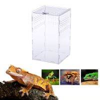 Neko Insect Feeding Box 12x12x20cm Acrylic Transparent Breeding Case for Spider Lizard Centipede Horned Frog Snake