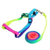 【CW】 Dog Collar Harness Leash Soft Walking Lead Colorful and Durable Rope 120cm