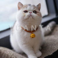 YUANTA ลูกกระพรวน - กระดิ่งสำหรับใส่ปลอกคอแมว กระพรวน กระดิ่ง น้องแมวหลากสี Pet Bells Colourful pet bells