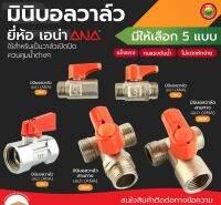 2 ทาง 3 ทาง เอน่า ANA 1/2 นิ้ว (4 หุน) สแตนเลส ผผ. ผม. มม ผผผ. ผมผ. MINI BALL VALVE ชุบโครเมียม เกลียวนอกใน เปิด ปิด ท่อประปา มิตสห Mitsaha