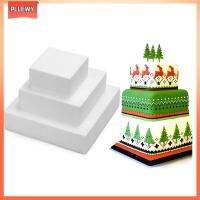 PLLEWY 4/6/8/ inch อุปกรณ์ครัว อุปกรณ์ทำขนม Sugarcraft แม่พิมพ์เค้กโฟม เค้กดัมมี่ รูปแบบการฝึก แม่พิมพ์อบ