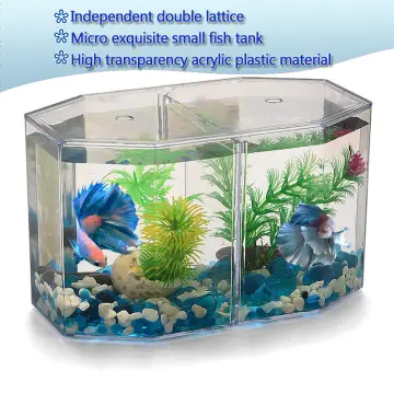 Shop Fish Aquarium Accessories Double Sided with great discounts and prices  online - Apr 2024