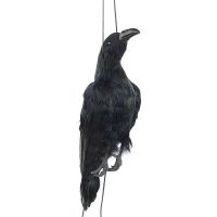 Realistic Hanging Dead Crow Decoy Lifesize Extra Black Feathered Crow