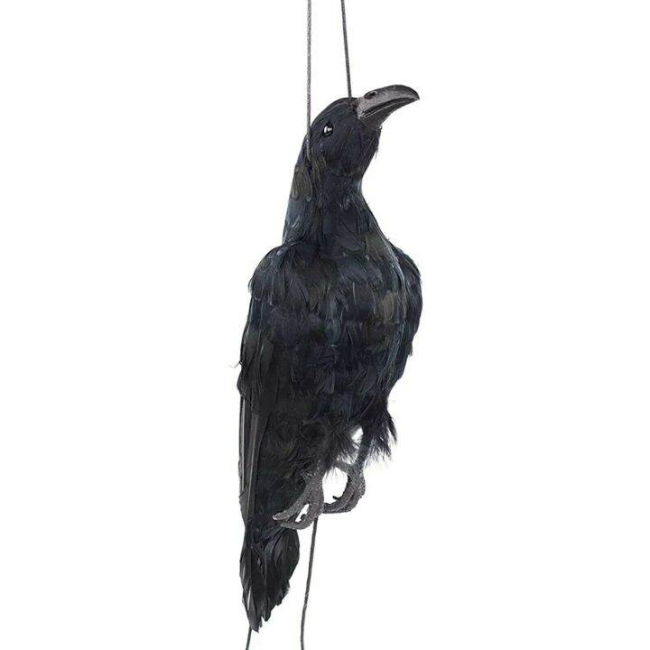 Realistic Hanging Dead Crow Decoy Lifesize Extra Large Black Feathered