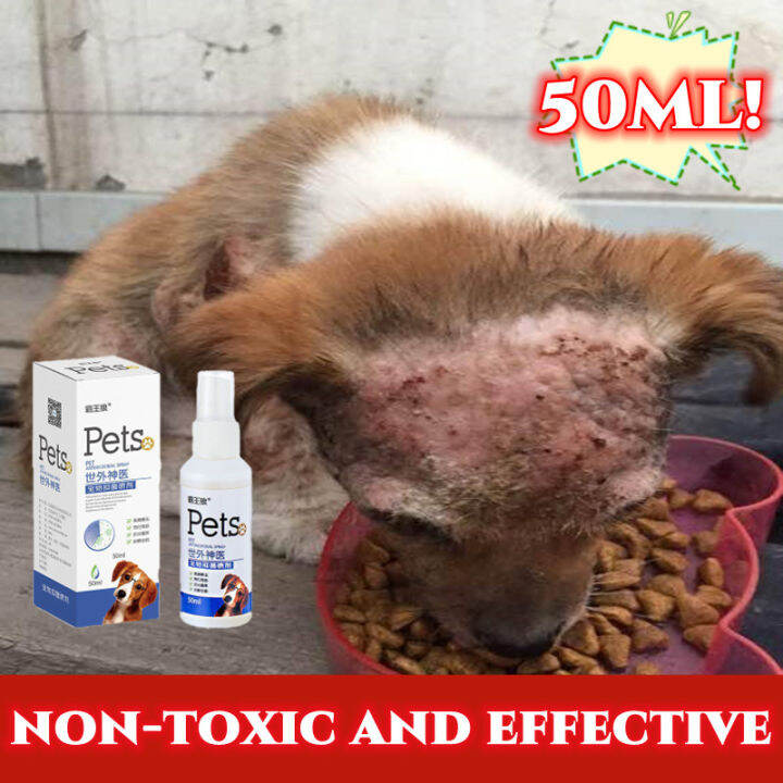 🐶😻Safe AndLickable🐾Pet Antibacterial Spray Dog Medicine for Skin