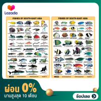 [ผ่อน 0%]Fish ID Slates ซื้อ 1 แถม 1 เลือก1 ลายแถมอีกลายมาเป็นเซ็ท 1Get1Free Choose 1 design get 2 design (set)