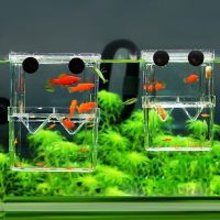 Multifunctional Fish Aquarium High Clear Fish Breeding Isolation Aquarium Breeder FishTank Double Guppies Hatching Incubator