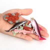【SALE】 psychcorera1986 สัตว์ที่สมจริงวงจรชีวิตปลาแซลมอนรุ่นของเล่นเด็กเล็กของเล่นวิทยาศาสตร์