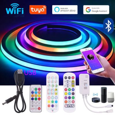 USB LED Strip Light RGBIC Dreamcolor Neon Light 5V WS2812B Addressable 0.5-5M Tuya WiFi Bluetooth Control Light For TV Bedroom
