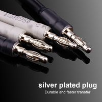ODIN sterling silver jumper audio cable over machine line fever speaker cable high end speaker cable 20CM
