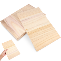 10 Pcs Taekwondo Plank บอร์ดการฝึกอบรม Perforated Plate อุปกรณ์เสริม Wood Breakable Boards