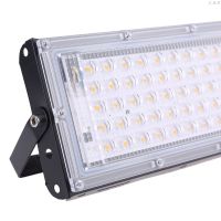 LED Floodlight Outdoor Spotlight 50W Wall Washer Lamp Reflector IP65 Waterproof Lighting Garden RGB Flood Light AC 220V 240V