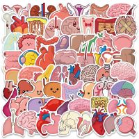 10/65PCS Cartoon Human Organ Cute Medical Anatomy Sticker Laptop Bicycle Guitar Phone Kid Toy DIY Graffiti Waterproof Stickers