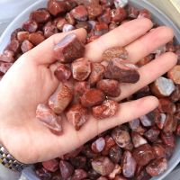 Natural Nanjiang carnelian red agate Crystal Quartz Gravel Stone Home Decor Buddhist Minerals Garden FlowerPot Specimen Fengshui