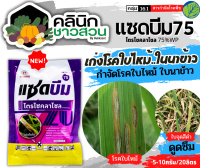 ? แซดบีม75 (ไตรไซคลาโซล) บรรจุ 100กรัม ป้องกันเชื้อราโรคไหม้ในข้าว