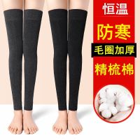 [COD] Cotton paint protective warm thickened old cold legs men and women joints elderly people lengthen winter protection