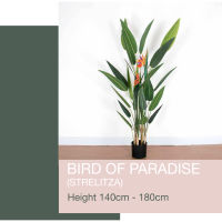 Bird of Paradise (Strelitzia) - ต้นเบิร์ดมีดอก สูง 140 ซม. ต้นไม้ปลอมเกรดพรีเมี่ยมเพื่อการตกแต่ง ต้นไม้ประดิษฐ์ Artificial Plant for home decoration