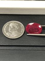 พลอยอัดชาตั้มรูบี้ รูปไข่  ขายเป็นเเม็ด. ขนาด 5X3mm-10X12mm | Synthetic Chatham Ruby (Corundum) Oval Shape. Calibrated Sizes.Price Per piece.