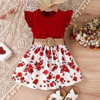 3-7Y Kids Girls Fashion Dress Children Summer Clothing Ruffle Sleeveless Floral A-line Dress with Belt Baby Party Dresses  by Hs2023